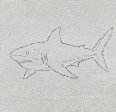 Step 1 of a shark watercolor painting tutorial, showing a simple pencil outline of the torpedo-shaped body and fins.
