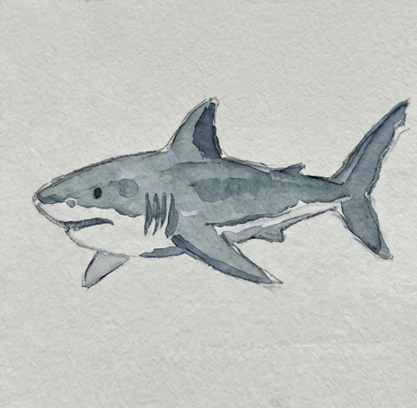 Step 2 painting the expressive shark watercolor painting by adding sharp, dark details to the eye, gills, and fins for fierce contrast.