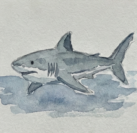 Step 3 adding a loose, watery blue ocean splash underneath the shark to ground the subject and suggest movement.