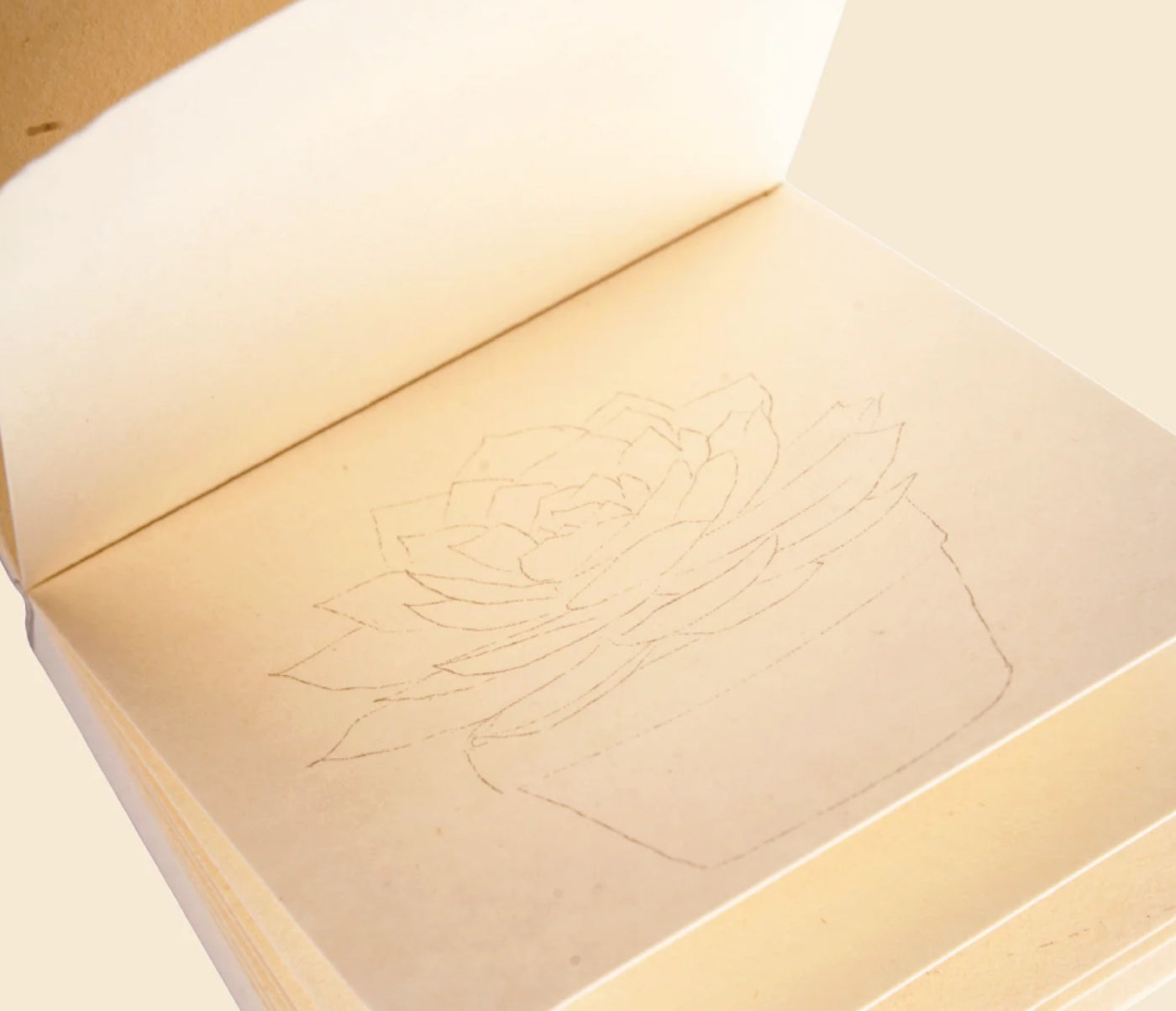 Watercolor Workbook vs. Sketchbook: Which Should You Use?